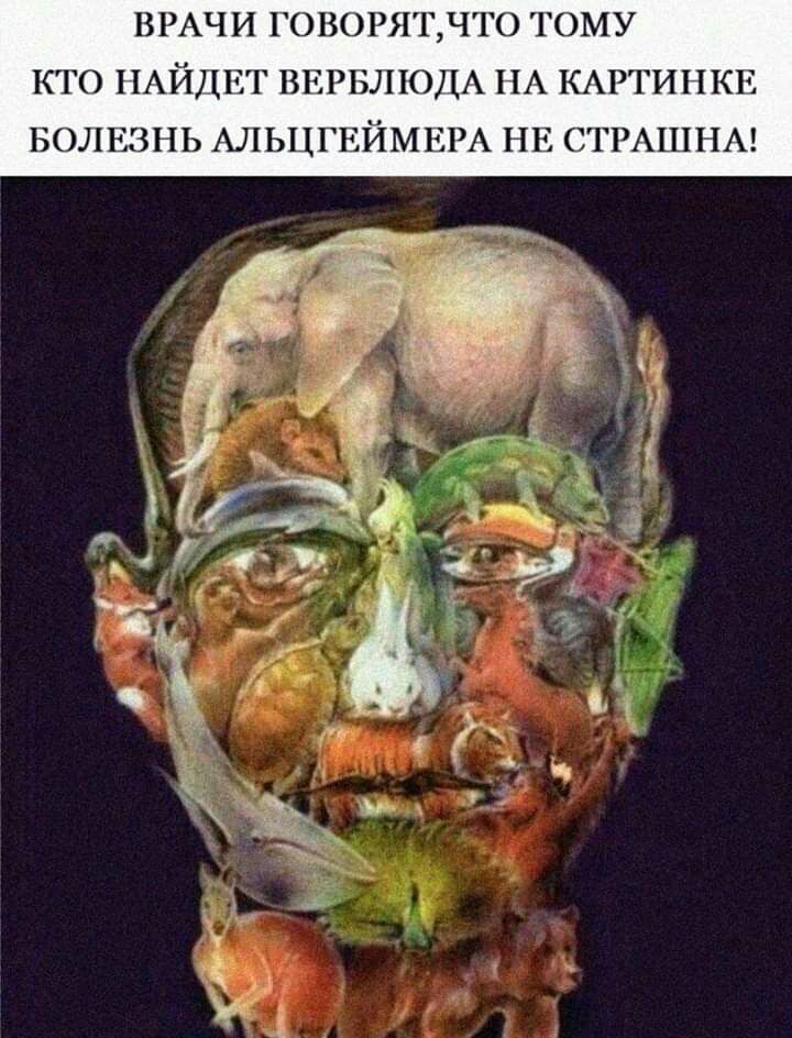 ВРАЧИ ГОВОРЯТ ЧТО ТОМУ КТО НАЙДЕГ ВЕРБЛЮДА НА КАРТИНКЕ БОЛЕЗНЬ АЛЬЦГЕЙМЕРА НЕ СТРАШНА