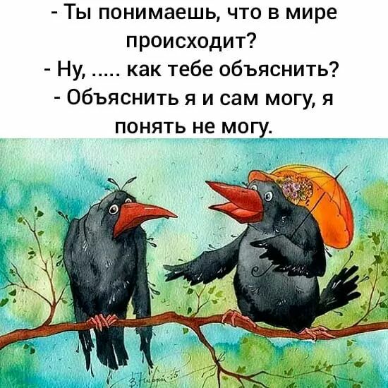 Ты понимаешь что в мире происходит Ну как тебе объяснить Объяснить я и сам могу я понять не могу
