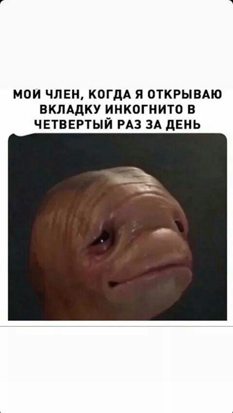 МОИ ЧЛЕН КОГДА Я ОТКРЫВАЮ ВКЛАДКУ ИНКОГНИТО В ЧЕТВЕРТЫИ РАЗ ЗА дЕНЬ