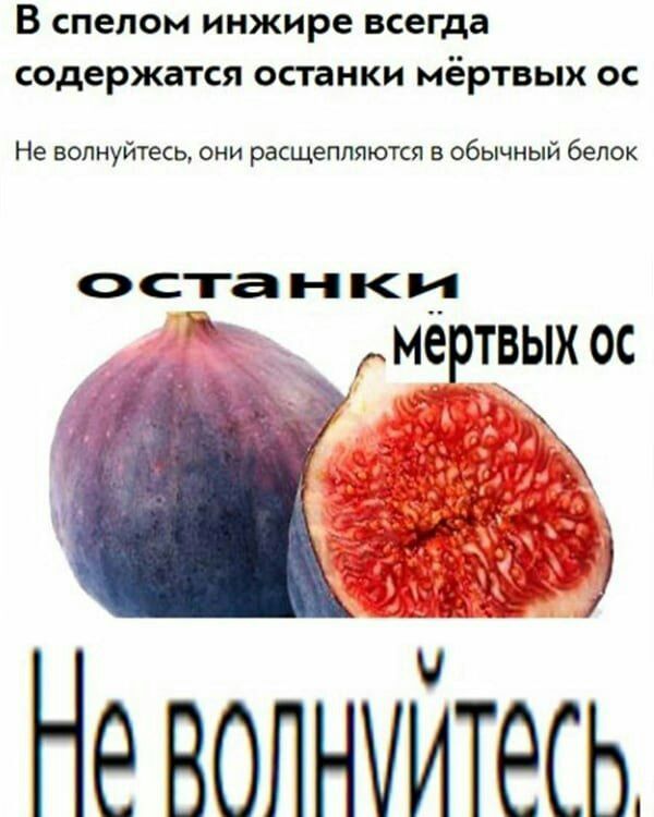 В спепом инжире всегда содержатся останки мёртвых ос Не волнуйтесь они расщепляются в обычный белок останки МЕРТВЫХ 0С Не волнуйтесь