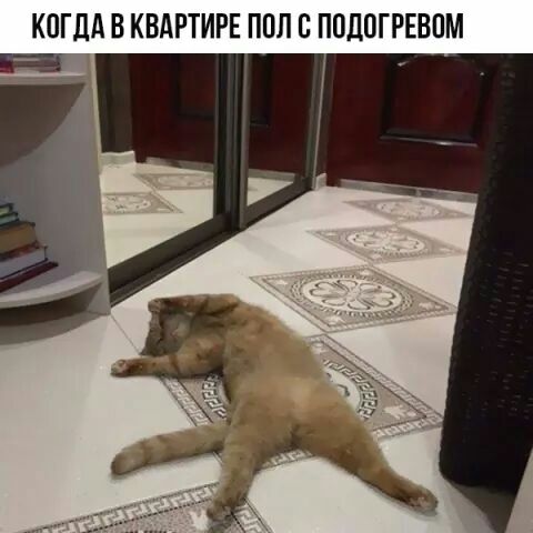 КОГДА В КВАРТИРЕ ППЛ Е ПОДОГРЕВПМ