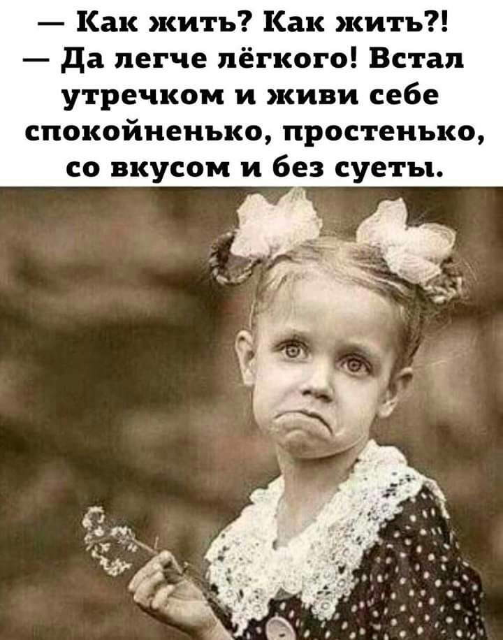 Как жить Как жить да легче лёгкого Встал утречком и киви себе спокойненько простенько со вкусом и без суеты