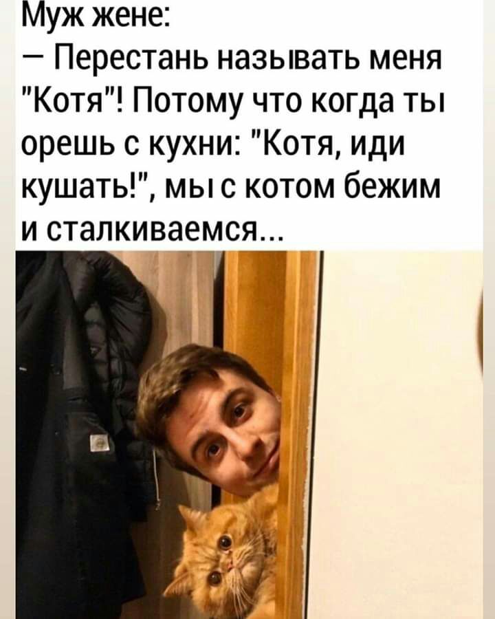 Муж жене Перестань называть меня Котя Потому что когда ты орешь с кухни Котя иди кушать мыс котом бежим и сталкиваемся