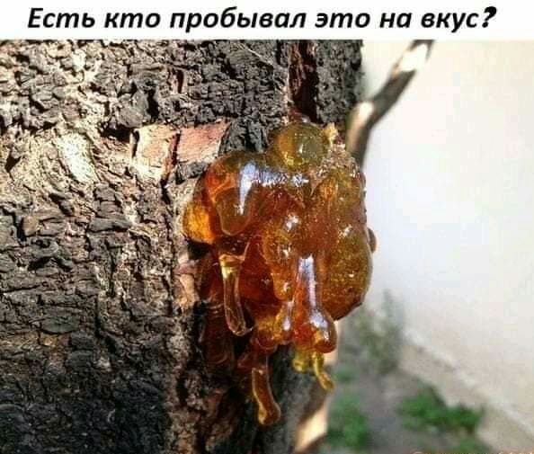 и вкус