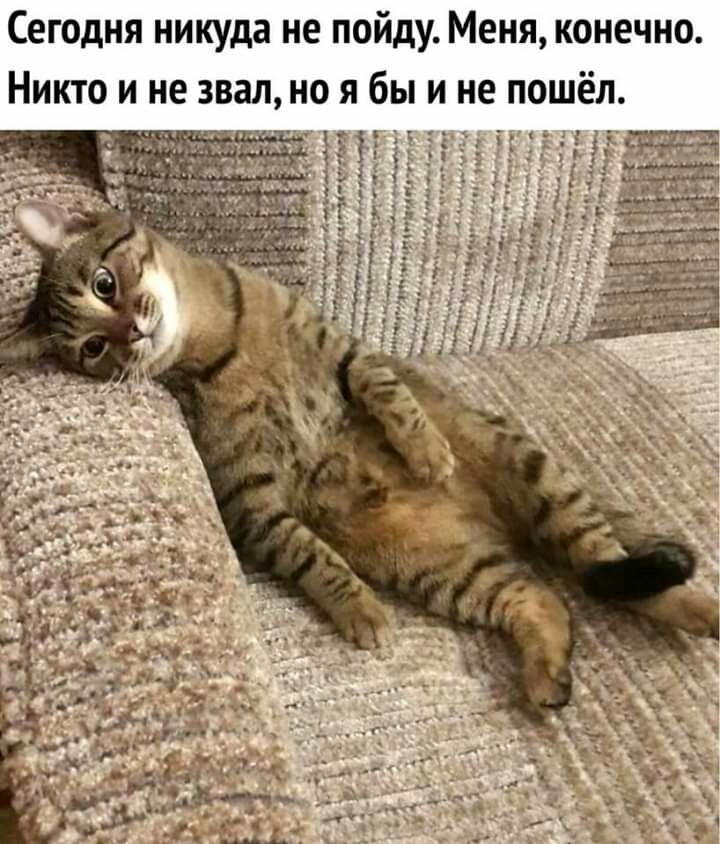 Сегодня никуда не пойду Меня конечно я бы и не п