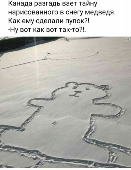 Канада разгадывает тайну нарисованного в снегу медведя Как ему сделали пупок Ну вот как вот так то