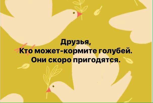 друзья Кто может кормите голубей Они скоро пригодятся