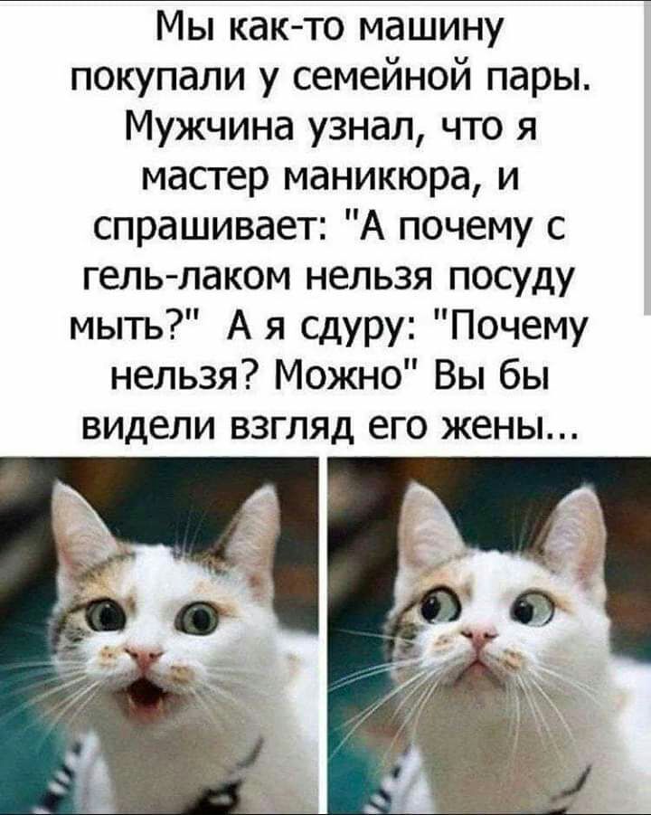 Мы как то машину покупали у семейной пары Мужчина узнал что я мастер маникюра и спрашивает А почему с гель лаком нельзя посуду мыть А я сдуру Почему нельзя Можно Вы бы ВИДЕЛИ ВЗГЛЯД его ЖЕНЫ