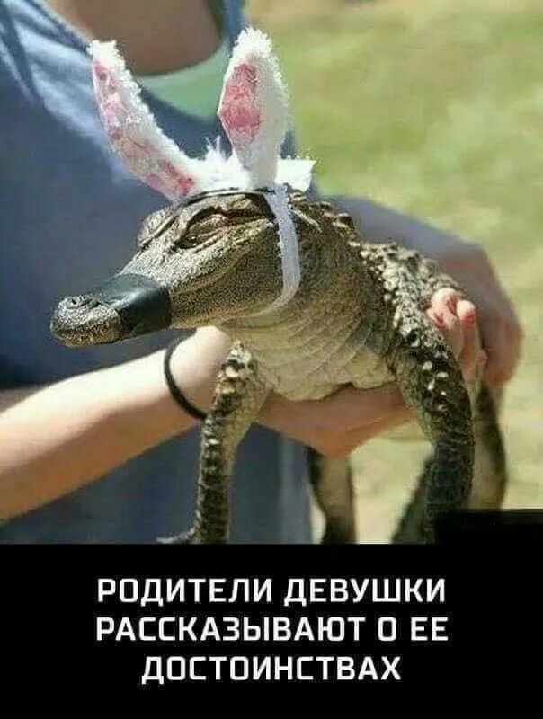 _ и _ _ дп ч РПДИТЕЛИ ДЕВУШКИ РАЕСКАЗЫВАЮТ О ЕЕ ДПСТПИНСТВАХ