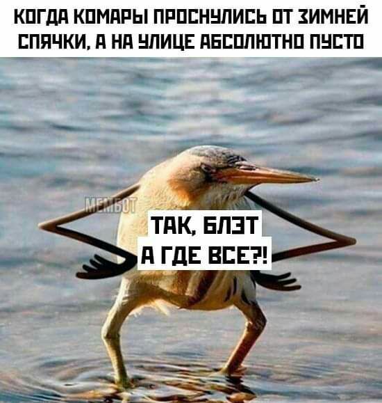 КПГдд КПМПРЫ ПРПЕННПИЕЬ ПТ ЗИМНЕЙ ЕППЧКИ д Нд ШИЦЕ ПЕЕППШТНП ПНЕТП А _ Е Ц ___ ___ _ _ тдк Епзт ___ _гдЕ впн _ _