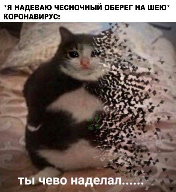 Я НАДЕВАЮ ЧЕСНОЧНЫЙ ОБЕРЕГ НА ШЕЮ КОРОНАВИРУС ты чево наделал