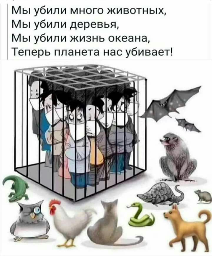 Мы убили много животных Мы убили деревья Мы убили жизнь океана Теперь планета нас убивает