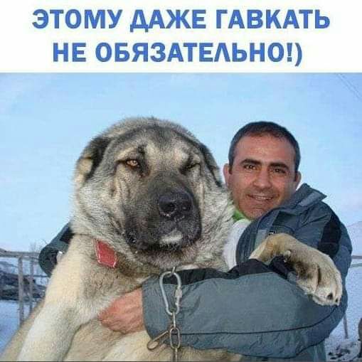 ЭТОМУ дАЖЕ ГАВКАТЬ НЕ ОБЯЗАТЕАЬНО