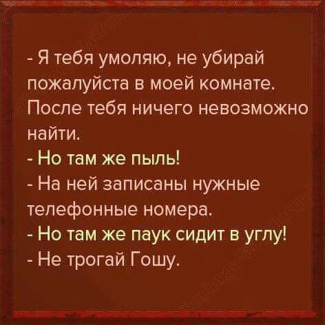 Я тебя умоляю не убирай пожапуйста в моей комнате После тебя ничего невозможно найти Но там же пыпь На ней записаны нужные телефонные номера Но там же паук сидит в углу Не трогай Гошу