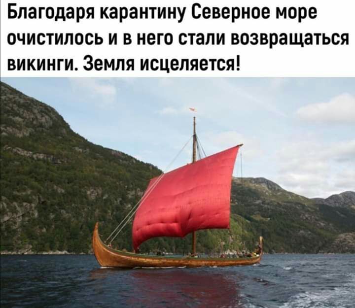 Благодаря карантину Северное море очистилось и в него стали возвращаться викинги Земля исцеляется