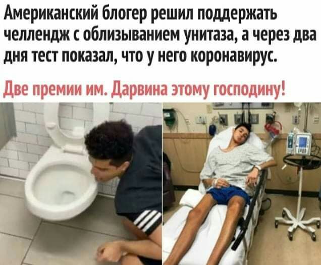 Американский блогер решил поддержать челлендж облизыванием унитаза а через два дня тест показал что у него коронавирус