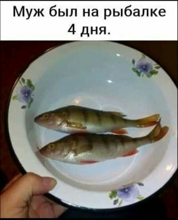 Муж был на рыбалке 4 дня