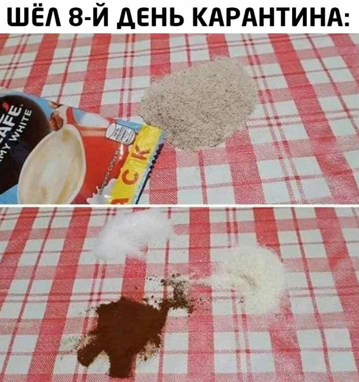 Щ_Ё 8 Й АЕНЬ КАРАНТИНА