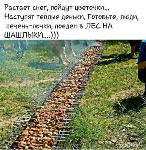 Растет снег пойдут шишечки Настчпят теплые деньки Готовьте люди печеньпочки поедет в ЛЕС НА ШАШЛЫКИ Ё