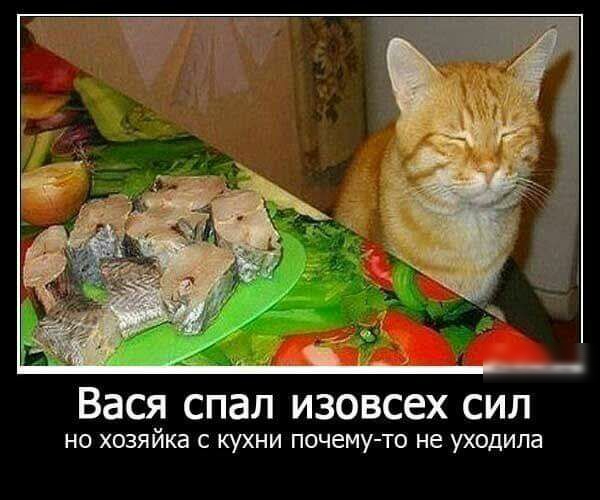 но хозяйка с кухни почемуто не уходила