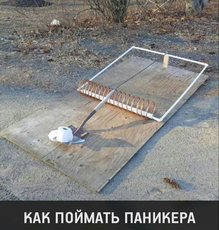 к к пойммь ПАНИНЕРА