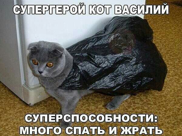 ёупвггврой вдеилий 7