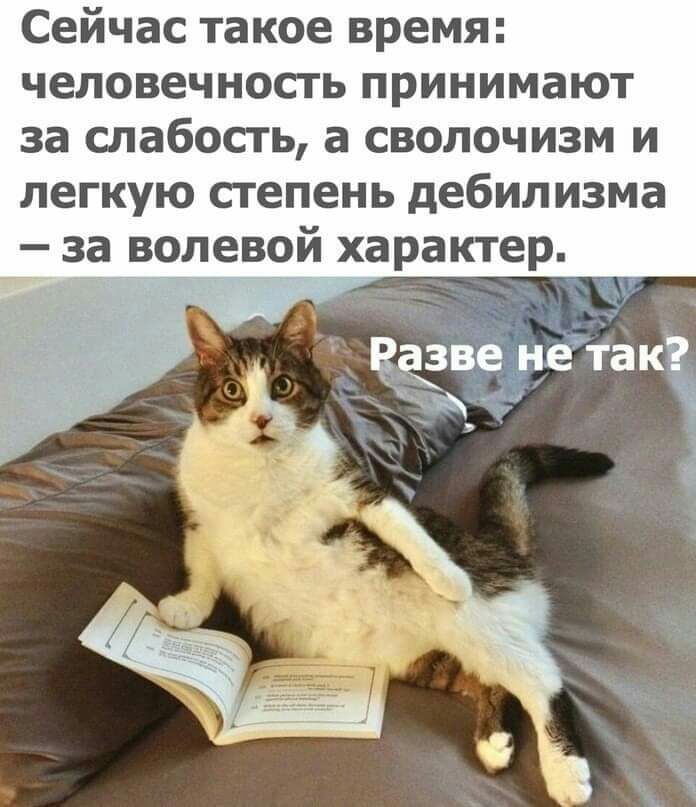 Сейчас такое время человечность принимают за слабость а сволочизм и легкую степень дебилизма за волевой характер 1113 ЁЁЧЁ Ётак