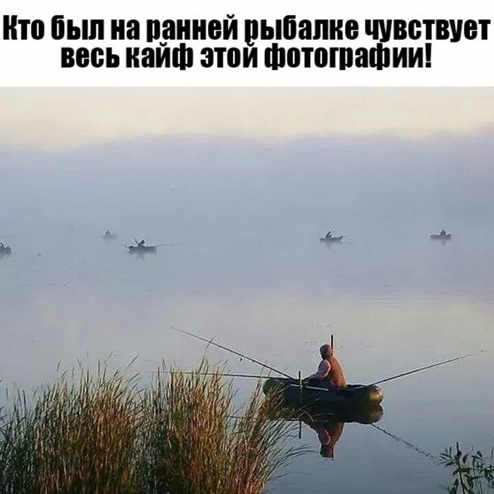 кто был на пзнней рыбалке чувствует весь наш этои Фотоплашии
