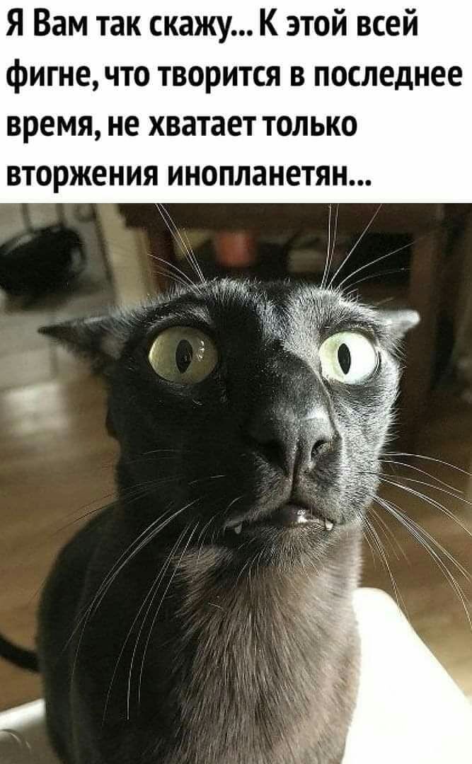 Я Вам так скажу К этой всей фигне что творится в последнее время не хватает только вторжения инопланетян
