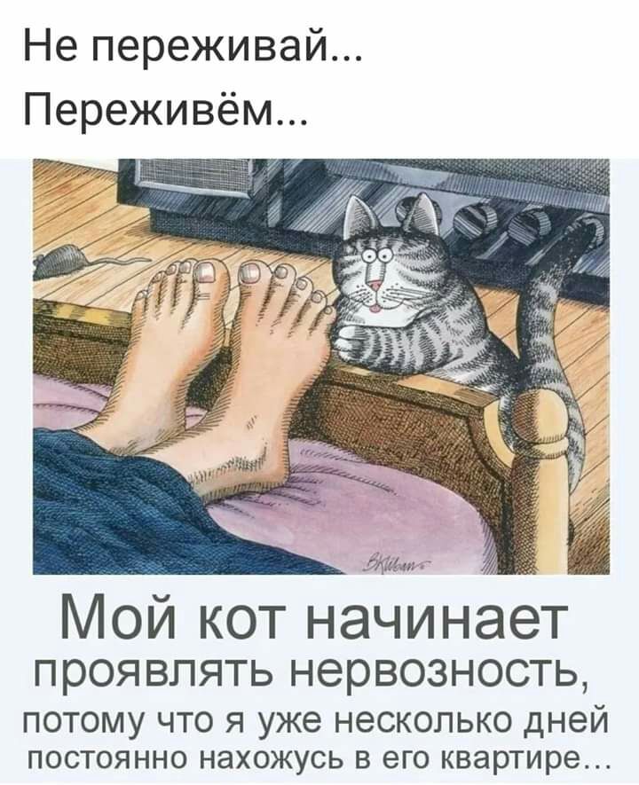 Не переживай Переживём Мой кот начинает проявлять нервозность потому что я уже несколько дней ПОСТОЯННО НЭХОЖУСЬ В его КВЭРТИРЭ