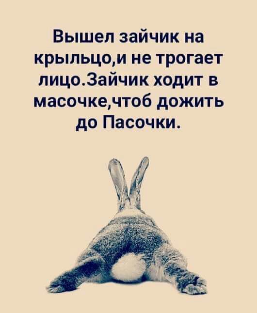 Вышел зайчик на крыльцом не трогает лицо3айчик ходит в масочкечтоб дожить до Пасочки