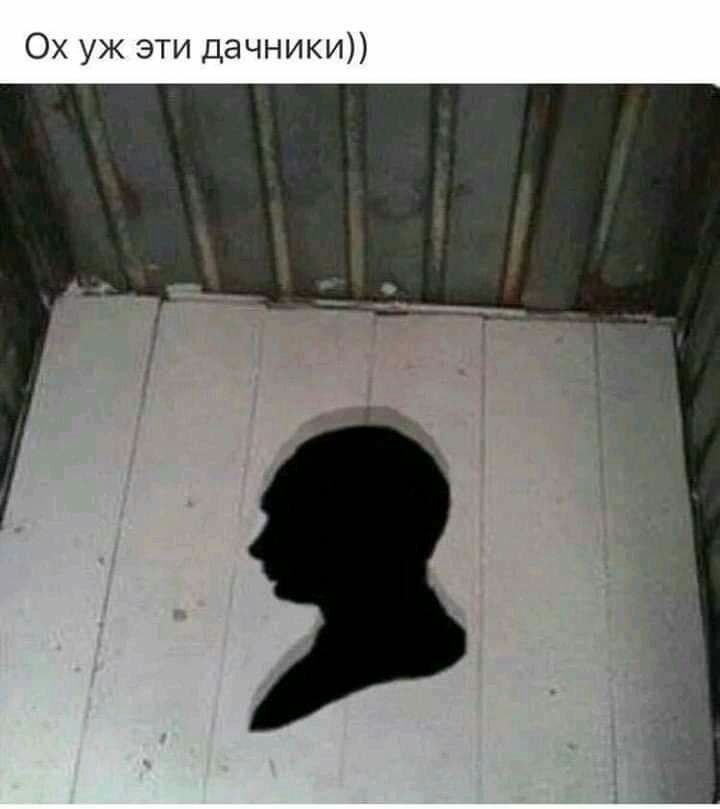 Ох уж эти Дачник