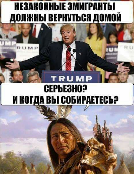ншнінны змиггпнты _ должны шиться дпмпи _
