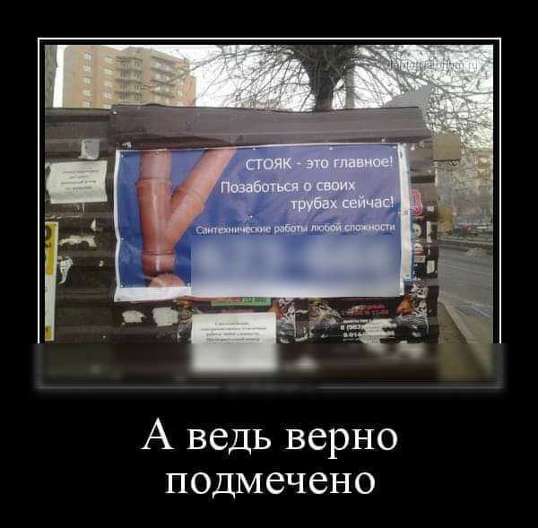А ведь верно подмечено