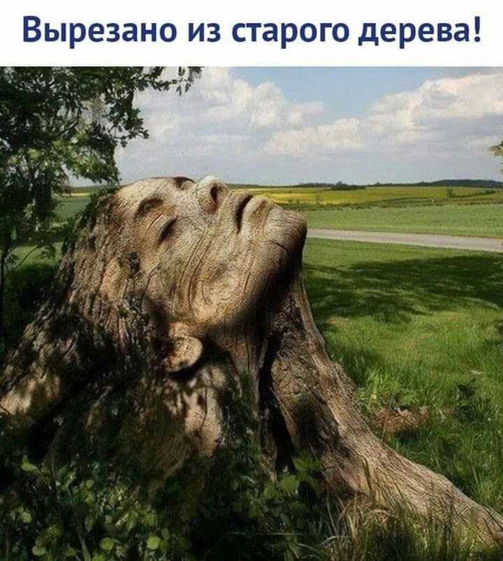 Вырезано из старого дерева