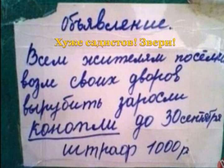 ХужешдисювЮвери Вещи эщщ всім АШИМ НЙ 1 Ёж 7 Фот097 7000