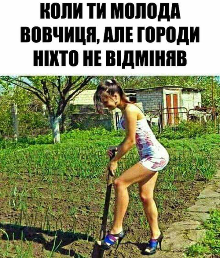 ШШИ ТИ МШЮдд ВПВЧИЦЯ АЛЕ ШРПДИ ШКШ ЦЕ ВЩШНПВ