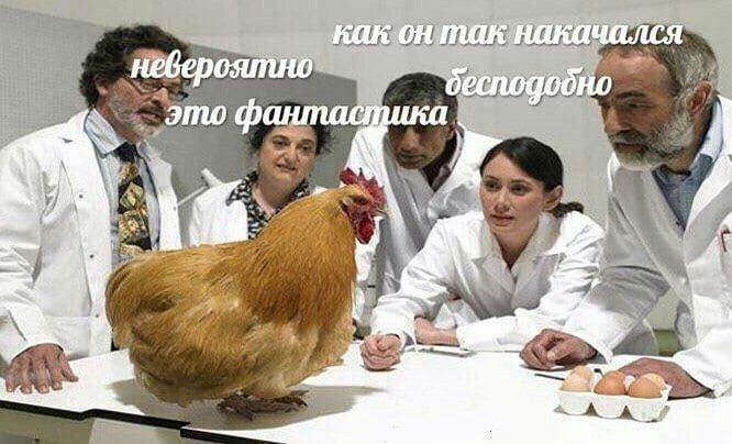 лиш щшттг иг1_і_іг