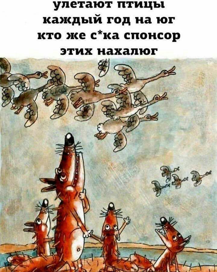 улетают птицы каждый год на юг кто же ска спонсор этих нахапюг