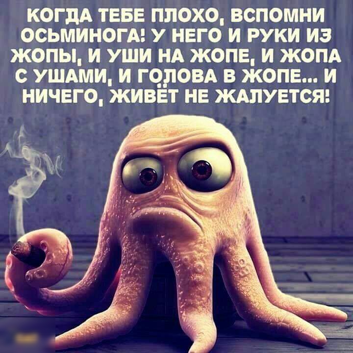 когдд тввв плохо вспомни осьминогм у него и руки из жопы и уши НА жопе и жопд УШАМИ и герои в жопе и ничего живет не ждпувтся