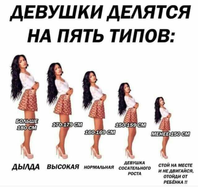 ДЕВУШКИ ДЕАЯТСЯ НА ПЯТЬ ТИПОВ дддддд 351 55 180 см 1111111 ДЬИДЛ ВЫСОКАЯ ногммьщя ЁДЪШШ ОЙ мгитс АвииА РБВЁАП