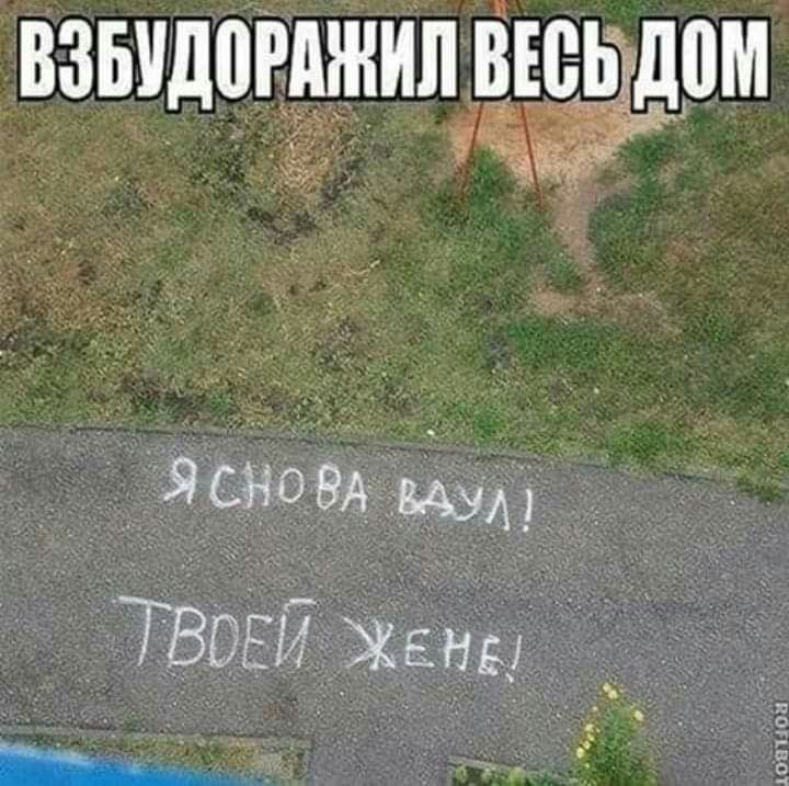 ВЗБУДПРЁШИЛВЧЕ ЬДВМ ЯСЁОВА _ 71305 жены _