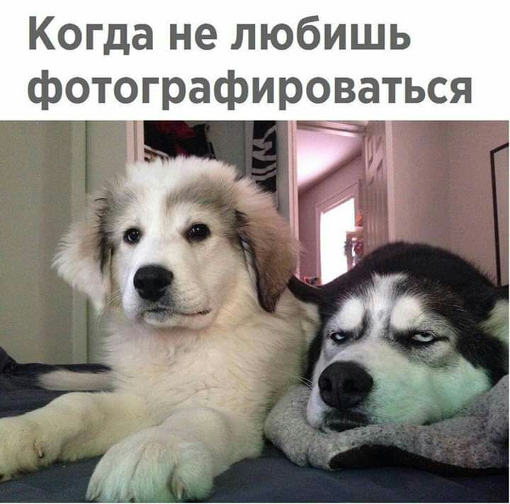 Когда не любишь фотографироваться