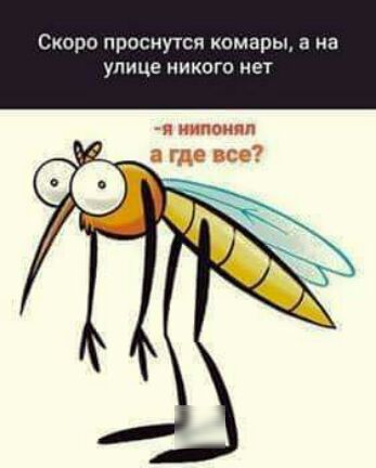 Сипро прпсиутся комары на улице никого нет