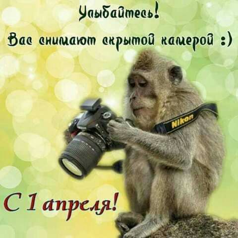 упыбаатець бас внимают пкрытой камерой
