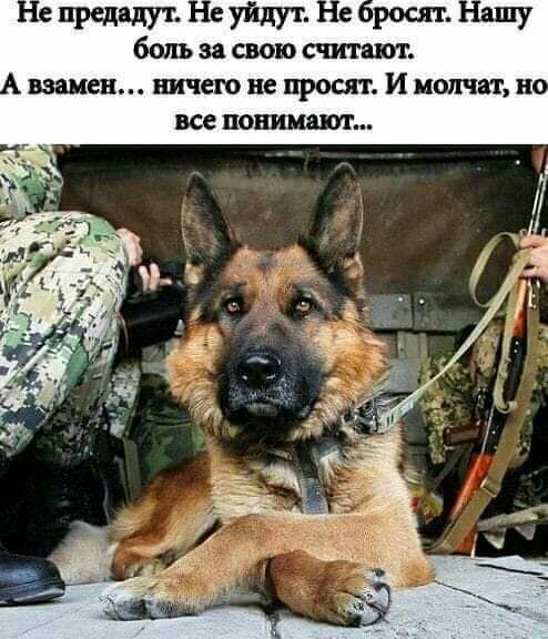 боль за СВОЮ взамен ШСП не ПРОШ И молчат н