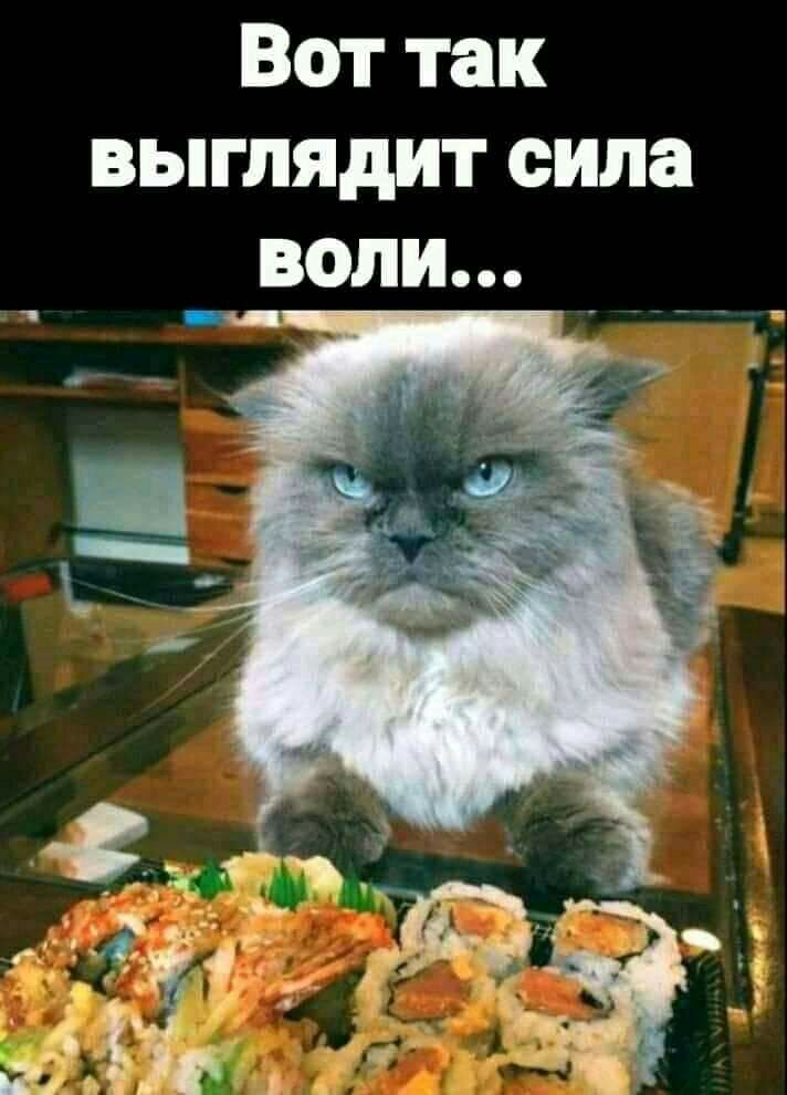Вот так выглядит сила воли