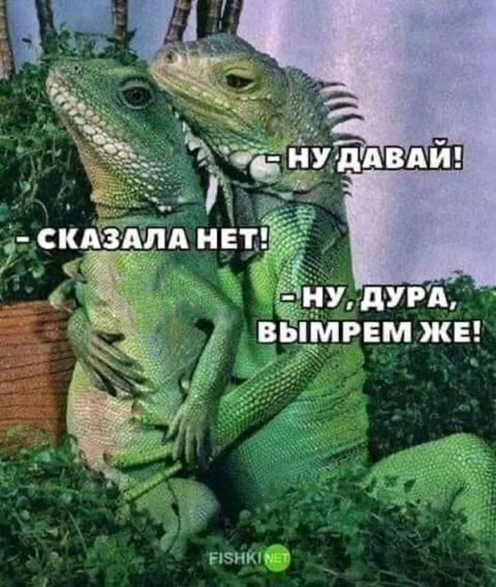 ВЫМРЕМ ЖЕ Нчнич