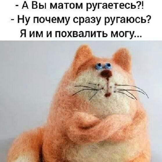 А Вы матом ругаетесь Ну почему сразу ругаюсь Я им и похвалить могу