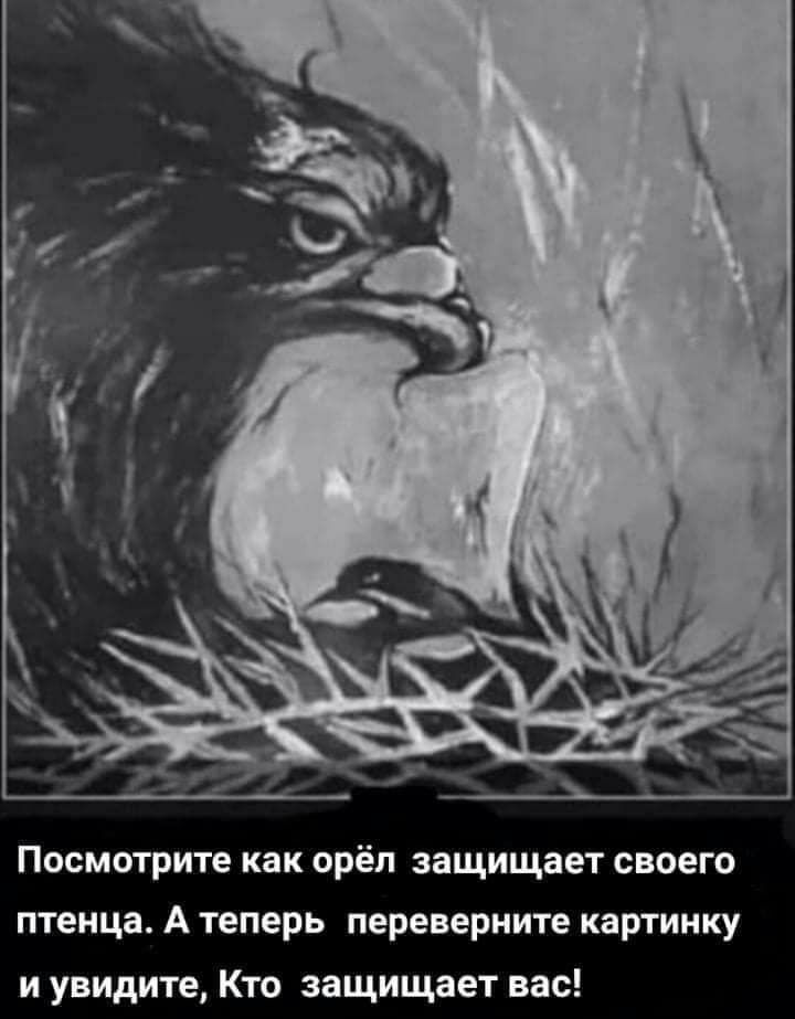 Посмотрите как орёл защищает своего птенца А теперь переверните картинку и увидите Кто защищает вас